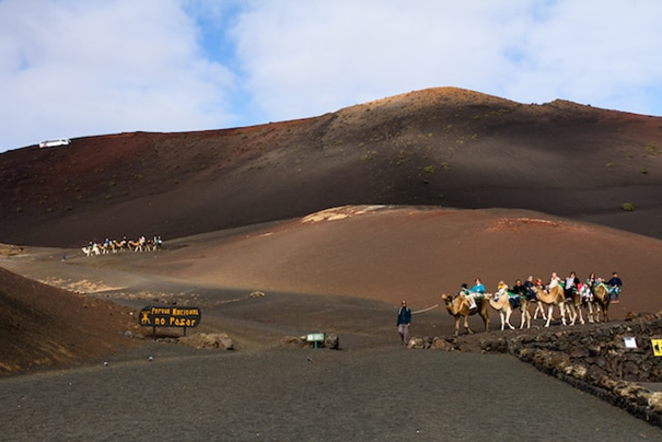 verhuizen naar Lanzarote